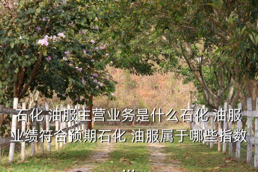 石化 油服主營(yíng)業(yè)務(wù)是什么石化 油服業(yè)績(jī)符合預(yù)期石化 油服屬于哪些指數(shù)...