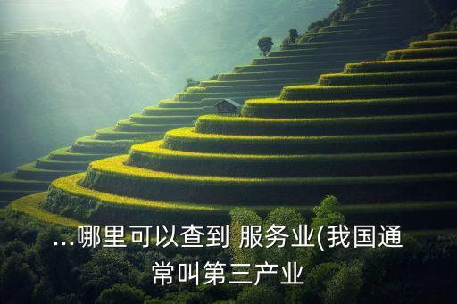 中國服務(wù)業(yè)和美國服務(wù)業(yè),生產(chǎn)型服務(wù)業(yè) 生活型服務(wù)業(yè)