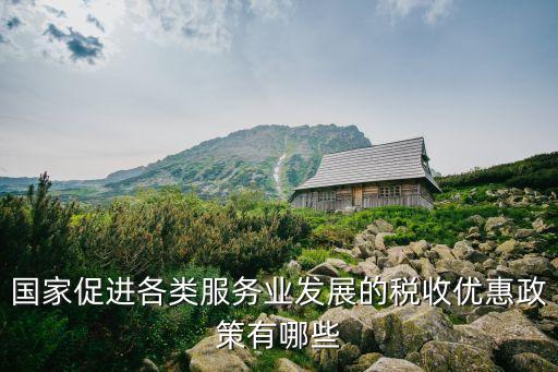 國家促進各類服務(wù)業(yè)發(fā)展的稅收優(yōu)惠政策有哪些