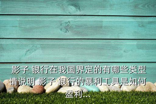  影子 銀行在我國(guó)界定的有哪些類(lèi)型請(qǐng)說(shuō)明 影子 銀行的暴利工具是如何盈利...
