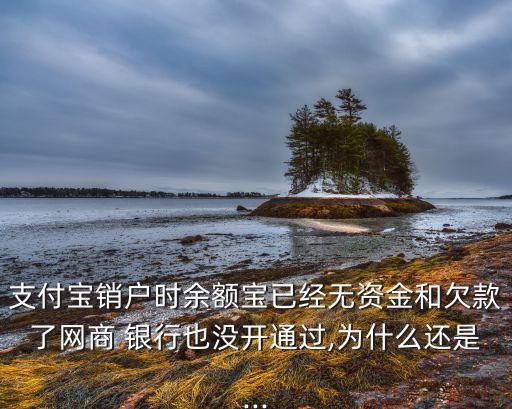 支付寶銷(xiāo)戶(hù)時(shí)余額寶已經(jīng)無(wú)資金和欠款了網(wǎng)商 銀行也沒(méi)開(kāi)通過(guò),為什么還是...