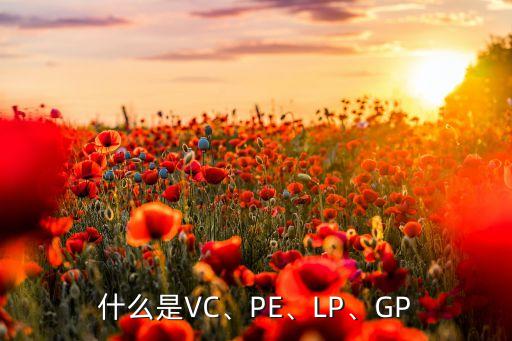 什么是VC、PE、LP、GP