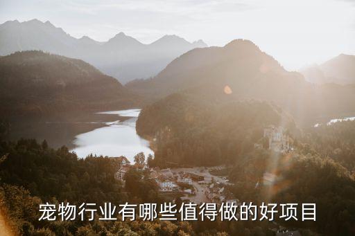 主動(dòng)投資類(lèi)業(yè)務(wù),主動(dòng)把錢(qián)給別人投資