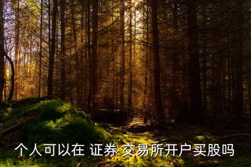個(gè)人可以在 證券 交易所開戶買股嗎