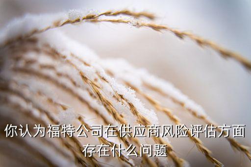 你認為福特公司在供應商風險評估方面存在什么問題