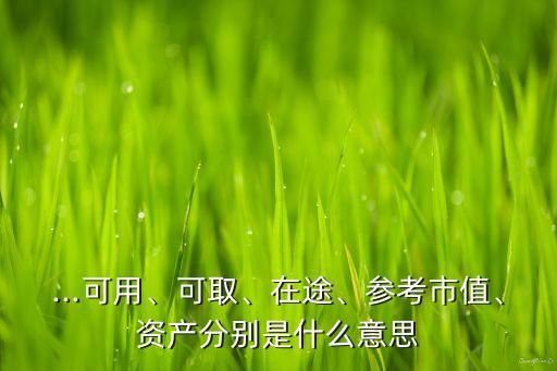 ...可用、可取、在途、參考市值、資產(chǎn)分別是什么意思
