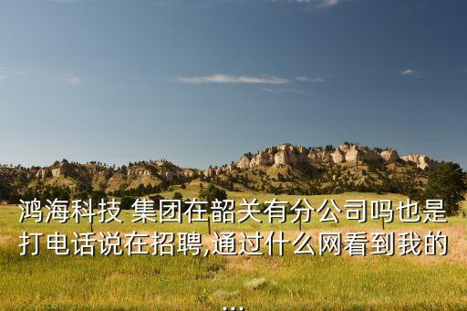 鴻?？萍?集團(tuán)在韶關(guān)有分公司嗎也是打電話說(shuō)在招聘,通過(guò)什么網(wǎng)看到我的...