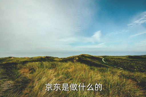 北京京東世紀貿易有限公司官方網站,京東世紀貿易有限公司和京東什么關系