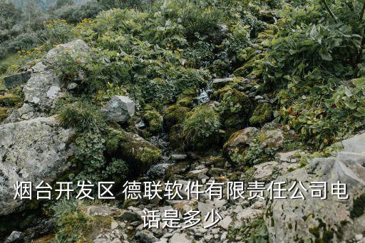 煙臺(tái)開發(fā)區(qū) 德聯(lián)軟件有限責(zé)任公司電話是多少