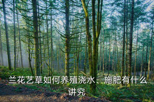  蘭花藝草如何養(yǎng)殖澆水、施肥有什么講究