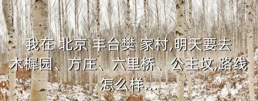 我在 北京 豐臺樊 家村,明天要去木樨園、方莊、六里橋、公主墳,路線怎么樣...