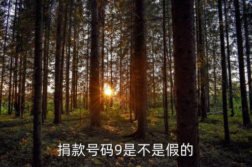 壹基金怎么用手機(jī)捐錢(qián)