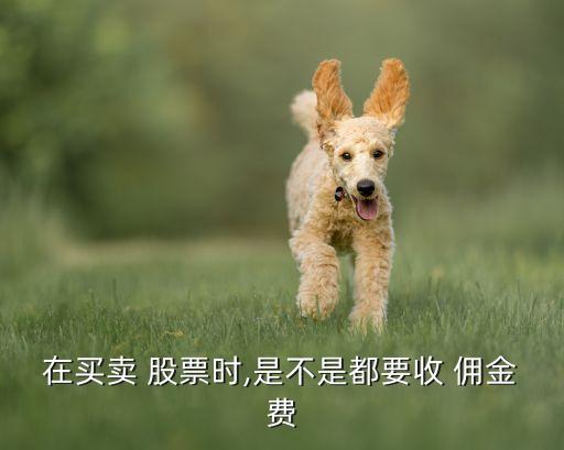 在買(mǎi)賣(mài) 股票時(shí),是不是都要收 傭金費(fèi)