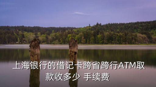 上海銀行取錢手續(xù)費