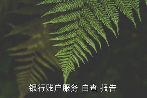 銀行賬戶(hù)服務(wù) 自查 報(bào)告