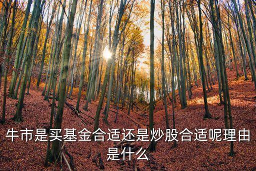 牛市是買(mǎi)基金合適還是炒股合適呢理由是什么