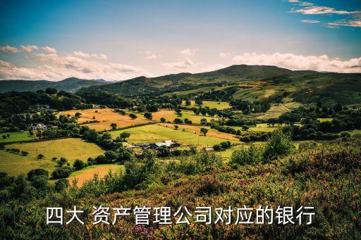 四大 資產(chǎn)管理公司對應(yīng)的銀行