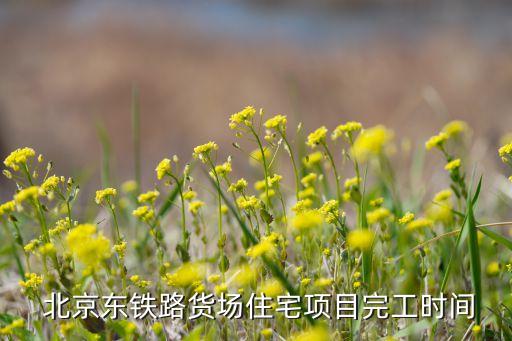  北京東鐵路貨場住宅項(xiàng)目完工時間