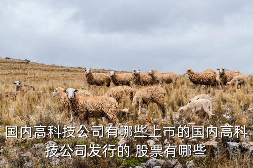 國內高科技公司有哪些上市的國內高科技公司發(fā)行的 股票有哪些