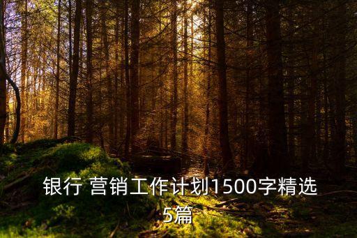  銀行 營(yíng)銷(xiāo)工作計(jì)劃1500字精選5篇