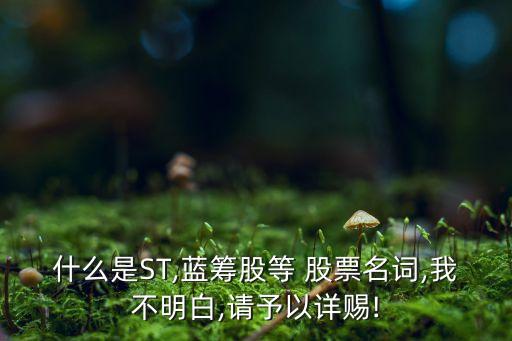 什么是ST,藍(lán)籌股等 股票名詞,我不明白,請(qǐng)予以詳賜!