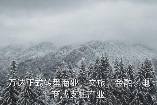  萬達正式轉(zhuǎn)型商業(yè)、文旅、金融、電商成支柱產(chǎn)業(yè)