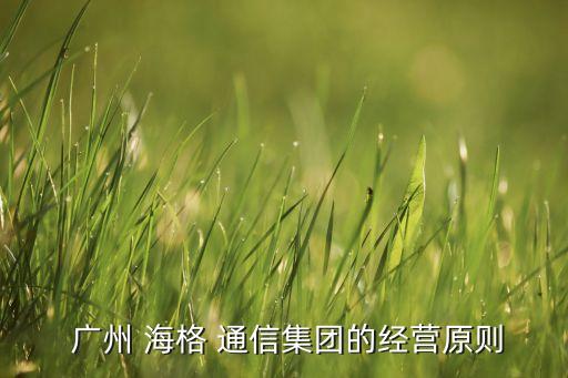 廣州海格通信公司架構