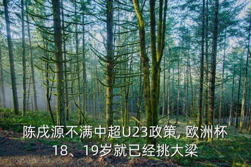 陳戌源不滿中超U23政策, 歐洲杯18、19歲就已經(jīng)挑大梁