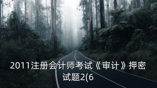 2011注冊(cè)會(huì)計(jì)師考試《審計(jì)》押密試題2(6