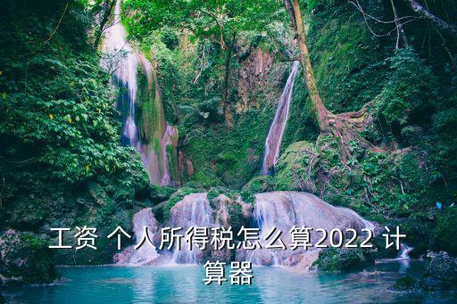 工資 個人所得稅怎么算2022 計(jì)算器
