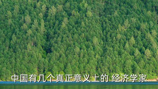 中國有幾個真正意義上的 經(jīng)濟(jì)學(xué)家
