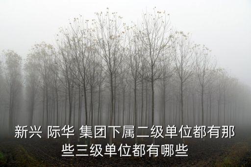 新興 際華 集團(tuán)下屬二級單位都有那些三級單位都有哪些