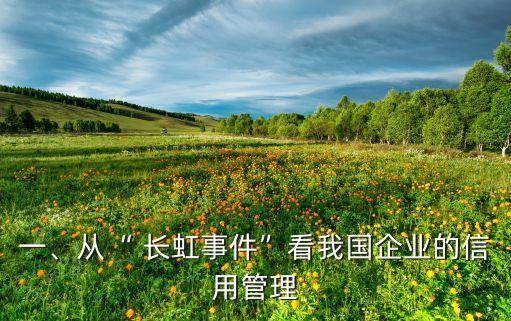 一、從“ 長(zhǎng)虹事件”看我國(guó)企業(yè)的信用管理