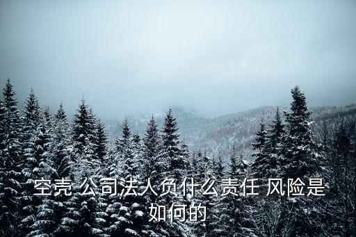  空殼 公司法人負(fù)什么責(zé)任 風(fēng)險(xiǎn)是如何的