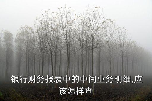  銀行財務(wù)報表中的中間業(yè)務(wù)明細,應(yīng)該怎樣查