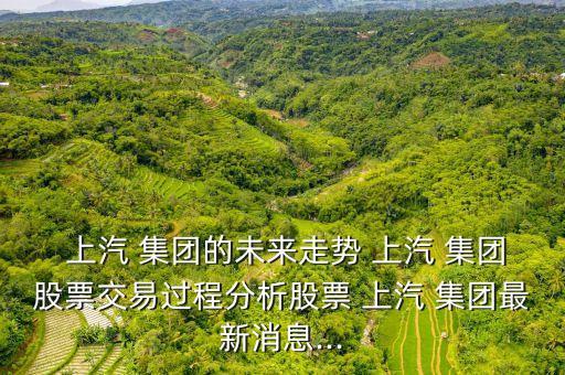  上汽 集團(tuán)的未來走勢(shì) 上汽 集團(tuán)股票交易過程分析股票 上汽 集團(tuán)最新消息...
