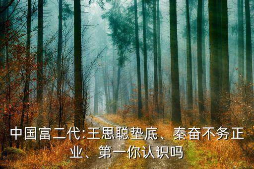 中國富二代:王思聰墊底、秦奮不務(wù)正業(yè)、第一你認(rèn)識嗎