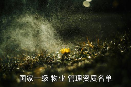 國家一級 物業(yè) 管理資質名單