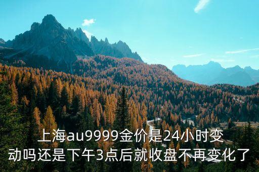 上海黃金交易所夜市時(shí)間是
