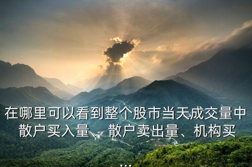 在哪里可以看到整個股市當天成交量中 散戶買入量、 散戶賣出量、機構買...