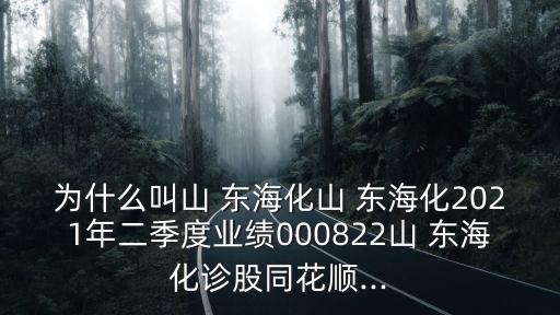 為什么叫山 東?；?東?；?021年二季度業(yè)績(jī)000822山 東?；\股同花順...