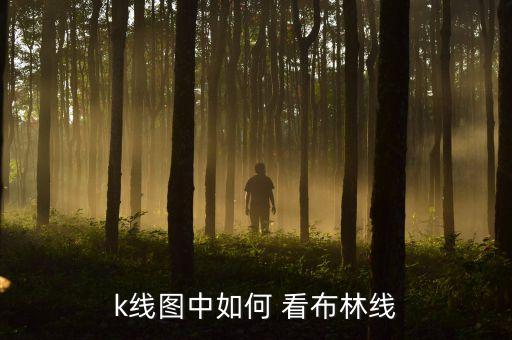 怎么看布林線(xiàn)買(mǎi)賣(mài)股票,布林線(xiàn)上軌中軌下軌怎么看