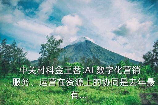  中關(guān)村科金王蓉:AI 數(shù)字化營(yíng)銷(xiāo)、服務(wù)、運(yùn)營(yíng)在資源上的協(xié)同是去年最有...
