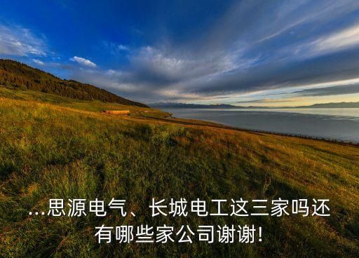 ...思源電氣、長城電工這三家嗎還有哪些家公司謝謝!