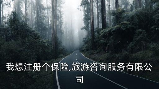 我想注冊個保險,旅游咨詢服務有限公司