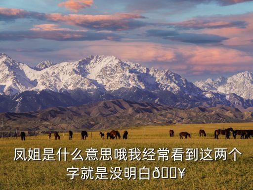  鳳姐是什么意思哦我經(jīng)?？吹竭@兩個字就是沒明白?