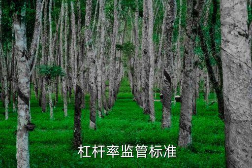  杠桿率監(jiān)管標準