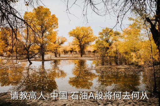 請(qǐng)教高人:中國 石油A股將何去何從