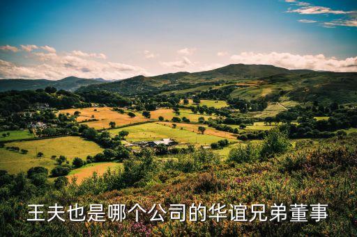 王夫也是哪個公司的華誼兄弟董事
