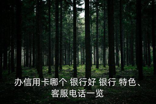 辦信用卡哪個(gè) 銀行好 銀行 特色、客服電話一覽